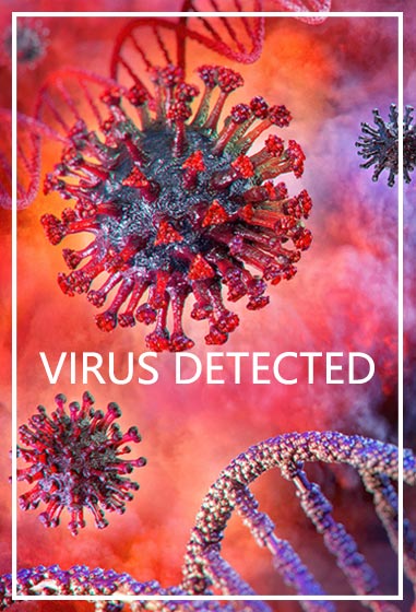 VIRUS-dete